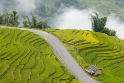 Du lịch - Cung đường ở Lào Cai mùa lúa chín gây sốt, khách ngỡ ‘chốn bồng lai’