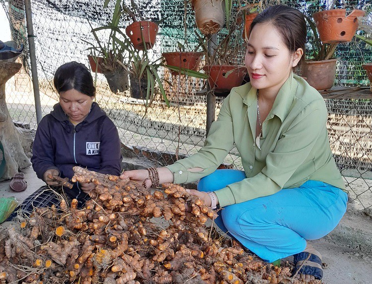 Bằng thương mại điện tử, chị Thảo đã góp phần tiêu thụ&nbsp;nông sản địa phương giúp bà con nông dân.