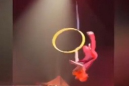 Media - Đang nhào lộn trên không, nữ diễn viên xiếc ngã đập đầu xuống đất