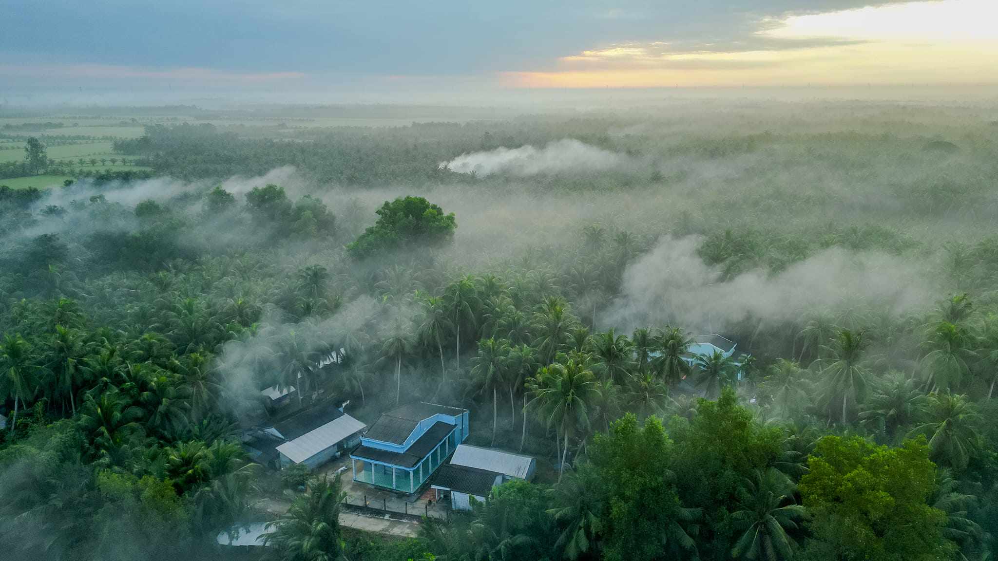 Tới xứ dừa Trà Vinh ngỡ lạc vào chốn bồng lai tiên cảnh - 1