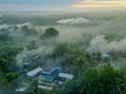 Du lịch - Tới xứ dừa Trà Vinh ngỡ lạc vào chốn bồng lai tiên cảnh