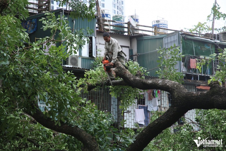 Mưa giông kinh hoàng tàn phá Đống Đa, Thanh Xuân: Cây đổ ngổn ngang, đèn giao thông bị quật ngã