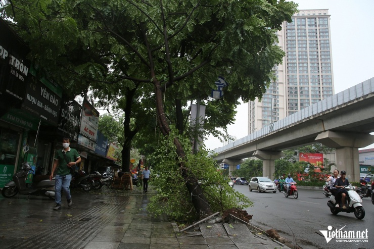 Mưa giông kinh hoàng tàn phá Đống Đa, Thanh Xuân: Cây đổ ngổn ngang, đèn giao thông bị quật ngã