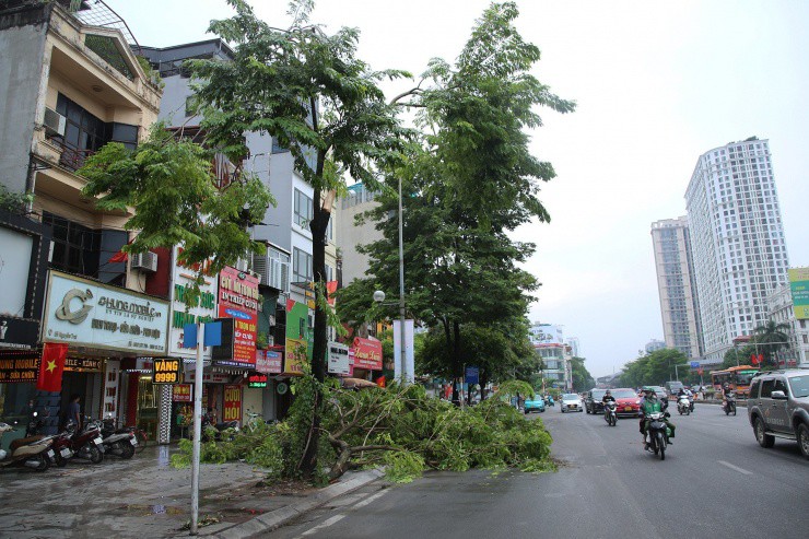 Đổ cây cổ thụ, trụ đèn giao thông sau cơn mưa giông bất chợt ở Hà Nội - 8