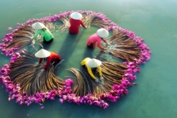 Du lịch - Đến Long An mùa nước nổi ngắm &quot;vũ điệu&quot; hoa súng đẹp nao lòng