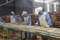 Thị trường - Tiêu dùng - Xuất khẩu hết lo đơn hàng lại lo đơn giá