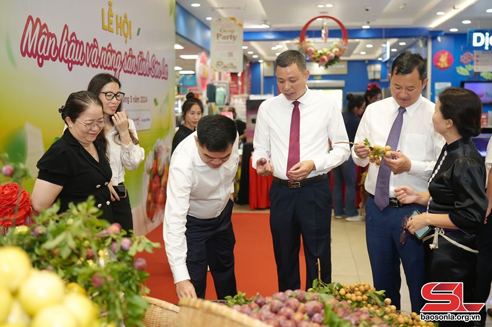 Đồng chí Nguyễn Thành Công, Phó Chủ tịch UBND tỉnh và các đại biểu tham quan gian hàng nông sản Sơn La tại Thành phố Hồ Chí Minh.