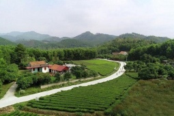 Thị trường - Tiêu dùng - Nghỉ lễ, khách kéo nhau đến các điểm du lịch trải nghiệm kết hợp nông trại
