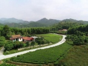 Thị trường - Tiêu dùng - Nghỉ lễ, khách kéo nhau đến các điểm du lịch trải nghiệm kết hợp nông trại