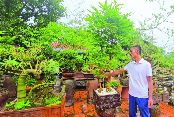 Tác phẩm tre bonsai Việt Nam tại tiệc trà cấp cao: Biểu tượng ngoại giao uyển chuyển và kiên cường