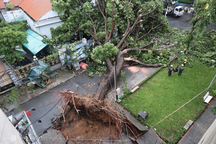 Giông lốc tàn phá TP.HCM, đè đổ nhiều cây xanh, gây thương vong