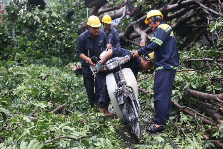 Giông lốc tàn phá TP.HCM, đè đổ nhiều cây xanh, gây thương vong