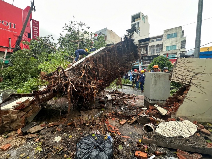 Giông lốc tàn phá TP.HCM, đè đổ nhiều cây xanh, gây thương vong