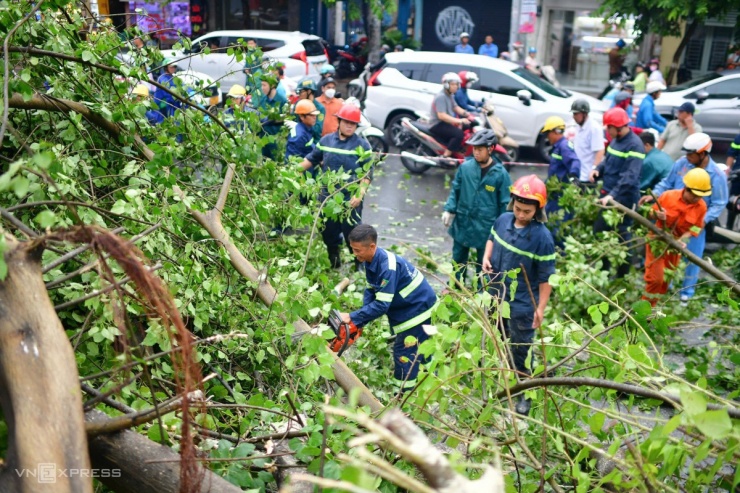 Giông lốc tàn phá TP.HCM, đè đổ nhiều cây xanh, gây thương vong