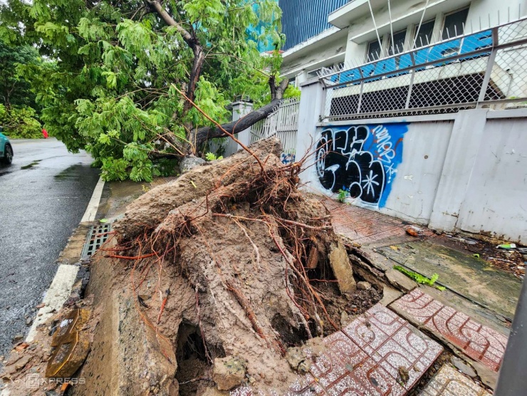 Giông lốc tàn phá TP.HCM, đè đổ nhiều cây xanh, gây thương vong