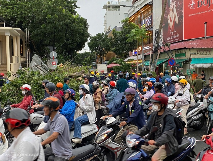 Giông lốc tàn phá TP.HCM, đè đổ nhiều cây xanh, gây thương vong