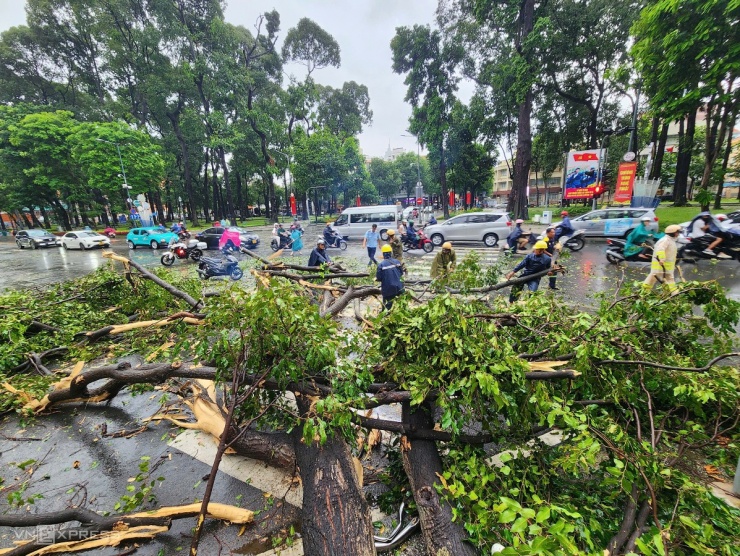 Giông lốc tàn phá TP.HCM, đè đổ nhiều cây xanh, gây thương vong