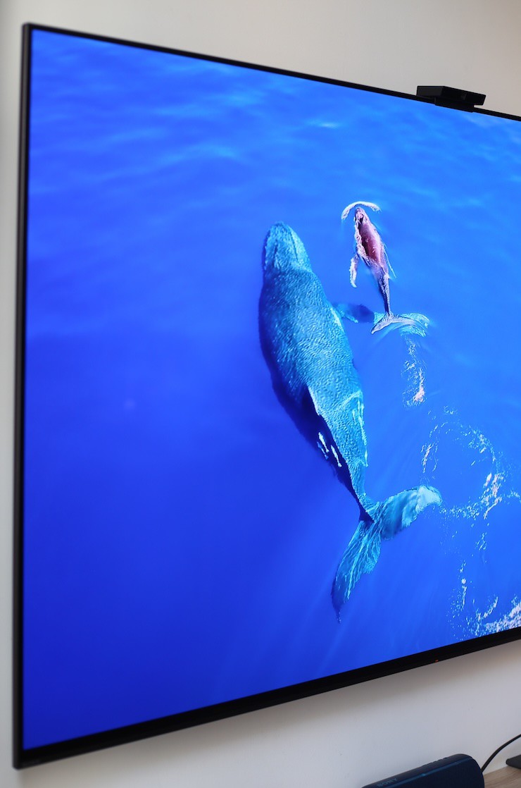 Giá TV Sony đời 2024 tháng 9/2024: Hơn 10 lựa chọn, có OLED giá tốt - 2