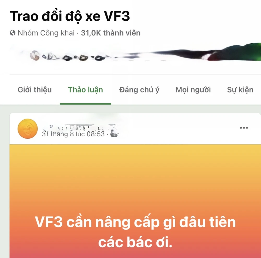 Một nhóm mạng xã hội dành riêng cho việc độ VinFast VF 3. (Ảnh chụp màn hình)