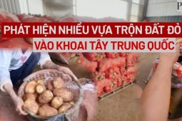 Tin tức trong ngày - VIDEO: Công an phát hiện nhiều chủ vựa trộn đất đỏ vào khoai tây Trung Quốc