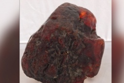 Thế giới - Khối hổ phách 1,1 triệu USD bị dùng làm đá chặn cửa