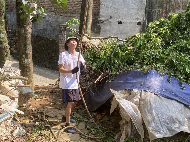 Chuẩn bị ứng phó siêu bão Yagi: Người dân Chương Mỹ đa dạng hóa phương tiện và chặt tỉa cây xanh