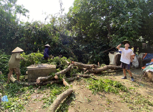 Chuẩn bị ứng phó siêu bão Yagi: Người dân Chương Mỹ chủ động chuẩn bị thuyền và chặt tỉa cây xanh