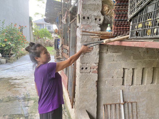 Chuẩn bị ứng phó siêu bão Yagi: Người dân Chương Mỹ đa dạng hóa phương tiện và chặt tỉa cây xanh