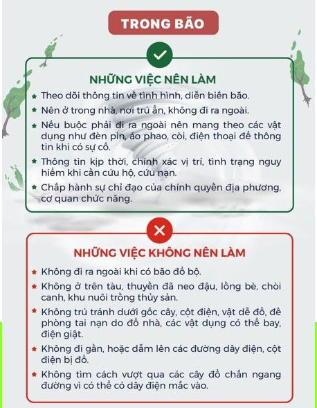 Nắm vững kiến thức về bão và áp thấp nhiệt đới để ứng phó hiệu quả với bão số 3