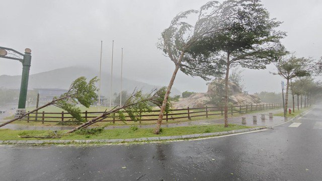 CLIP: Siêu bão Yagi thổi bay ô tô, bẻ cây bứng gốc ở Trung Quốc - 4