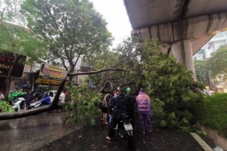 Tin tức trong ngày - Gió giật cấp 10 có thể 'càn quét' Hà Nội do siêu bão YAGI