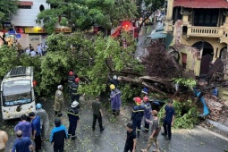 Tin tức trong ngày - Hà Nội nhiều cây gãy đổ, một người chết