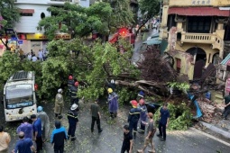 Hà Nội nhiều cây gãy đổ, một người chết