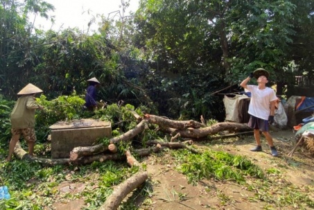 Chuẩn bị ứng phó siêu bão Yagi: Người dân Chương Mỹ đa dạng hóa phương tiện và chặt tỉa cây xanh