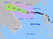 Tin tức trong ngày - Rìa siêu bão số 3 Yagi 'chạm' đất liền, miền Bắc bắt đầu mưa lớn kèm sấm sét