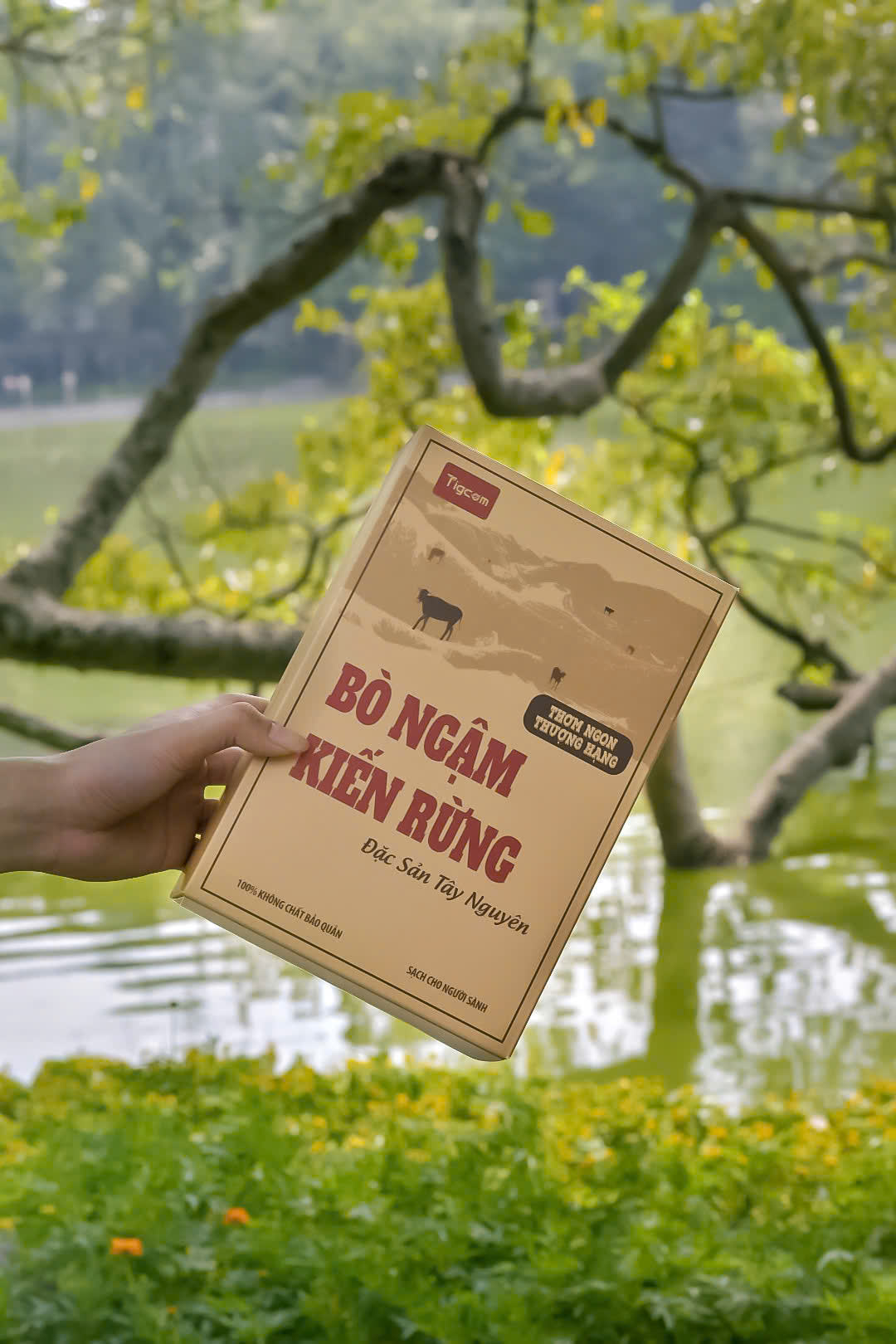 Bò Ngậm Kiến Rừng của TIGCOM là món quà ý nghĩa dành cho người thân yêu.