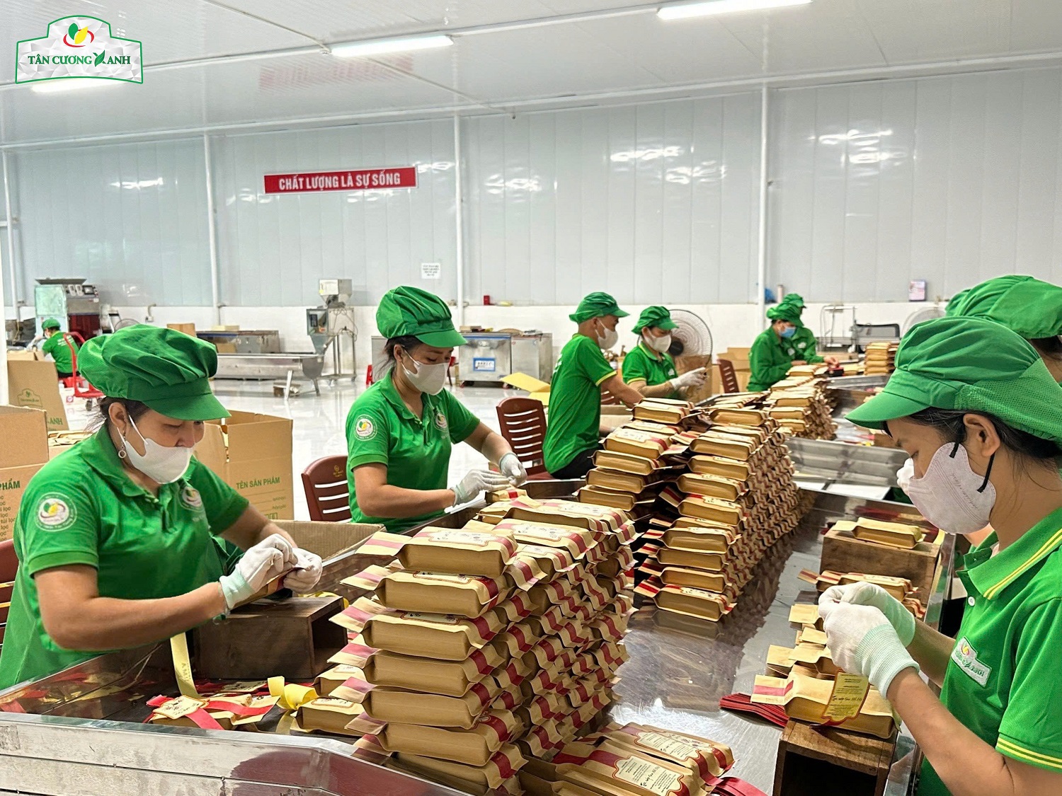 Tân Cương Xanh - Thương hiệu trà thái nguyên ngon chính gốc! - 4