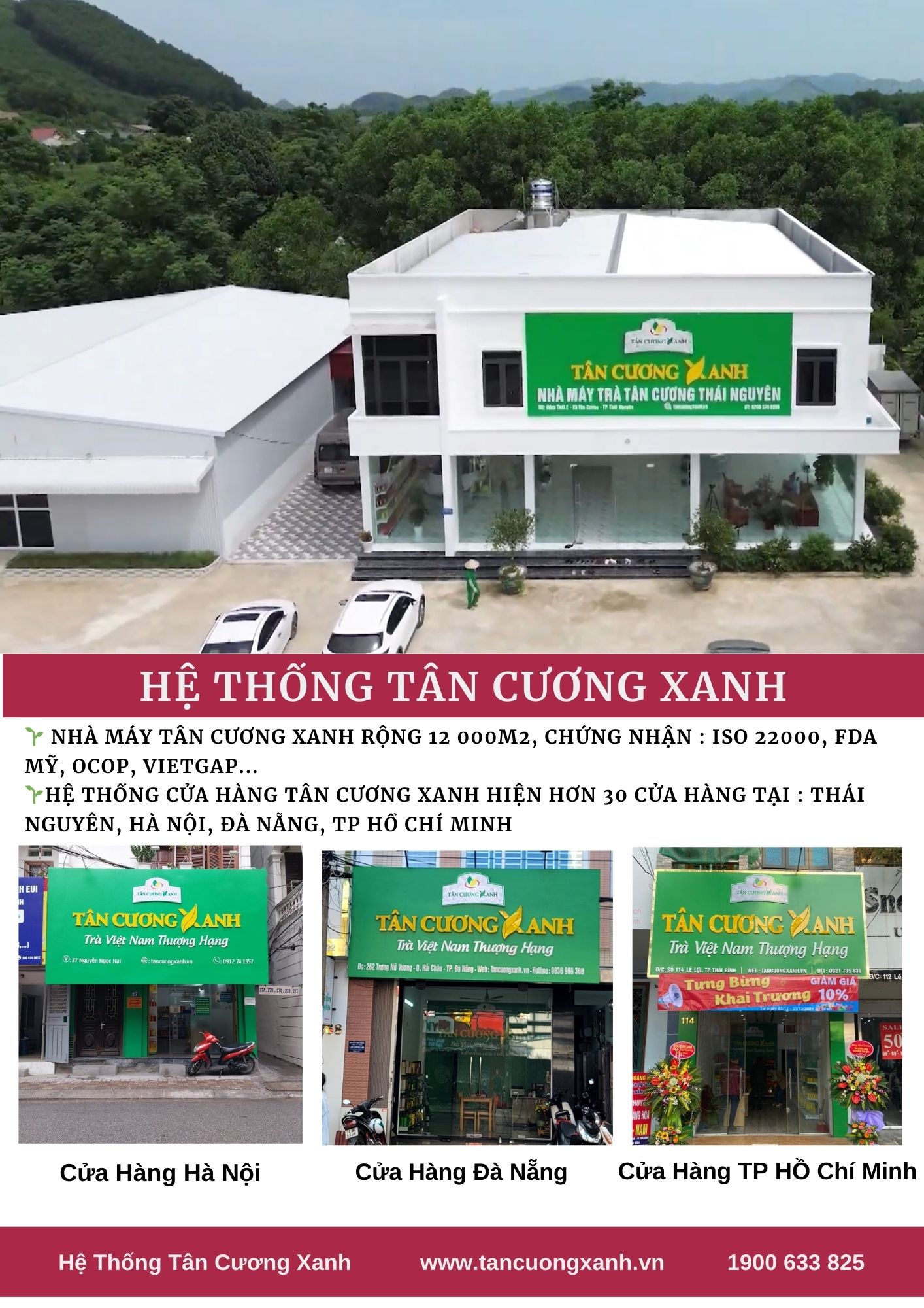 Tân Cương Xanh - Thương hiệu trà thái nguyên ngon chính gốc! - 5