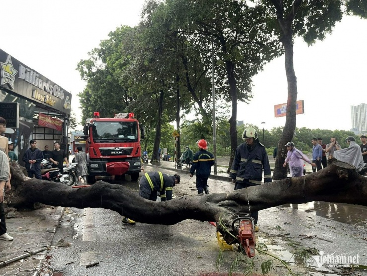 Hai người tử vong do cây đổ trong bão Yagi tại Hà Nội