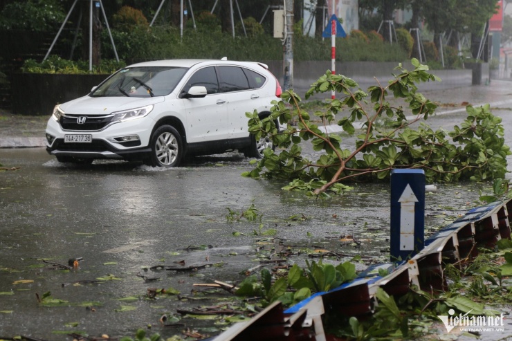 Bão số 3 tàn phá khu du lịch Bãi Cháy: Cây đổ, cầu cấm