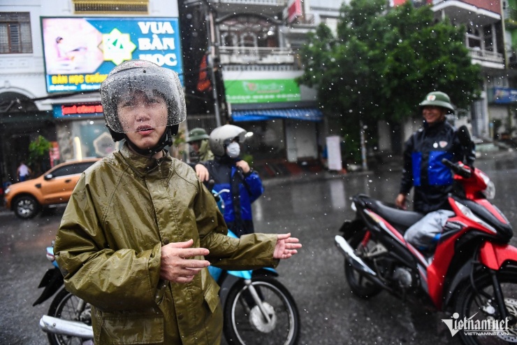 Bão số 3 tàn phá khu du lịch Bãi Cháy: Cây đổ, cầu cấm