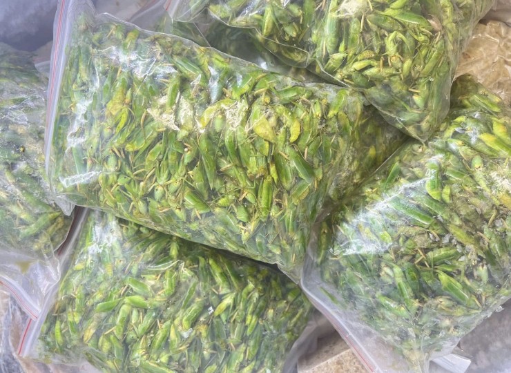 800 nghìn/kg vẫn đắt hàng, ‘tóp mỡ xanh’ thành món ăn của nhà giàu Hà Nội