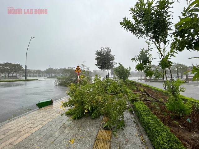 Thành phố Hồ Chí Minh sẵn sàng ứng phó bão số 3, chia sẻ với những địa phương chịu ảnh hưởng nặng nề