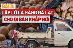 Nông sản đội lốt: Khoai tây Trung Quốc "lột xác" nhờ đất đỏ Đà Lạt