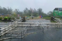 Tin tức trong ngày - Hải Phòng - Quảng Ninh cây đổ, tôn bay trước giờ bão vào