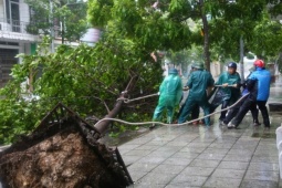 Tin tức trong ngày - Thuyền vỡ chìm, cây đổ ngổn ngang do bão Yagi