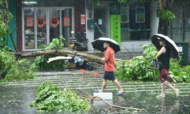 Người dân ở tỉnh Hải Nam, Trung Quốc, đi ngang qua các cây đổ do gió lớn từ siêu bão Yagi. Ảnh: VCG