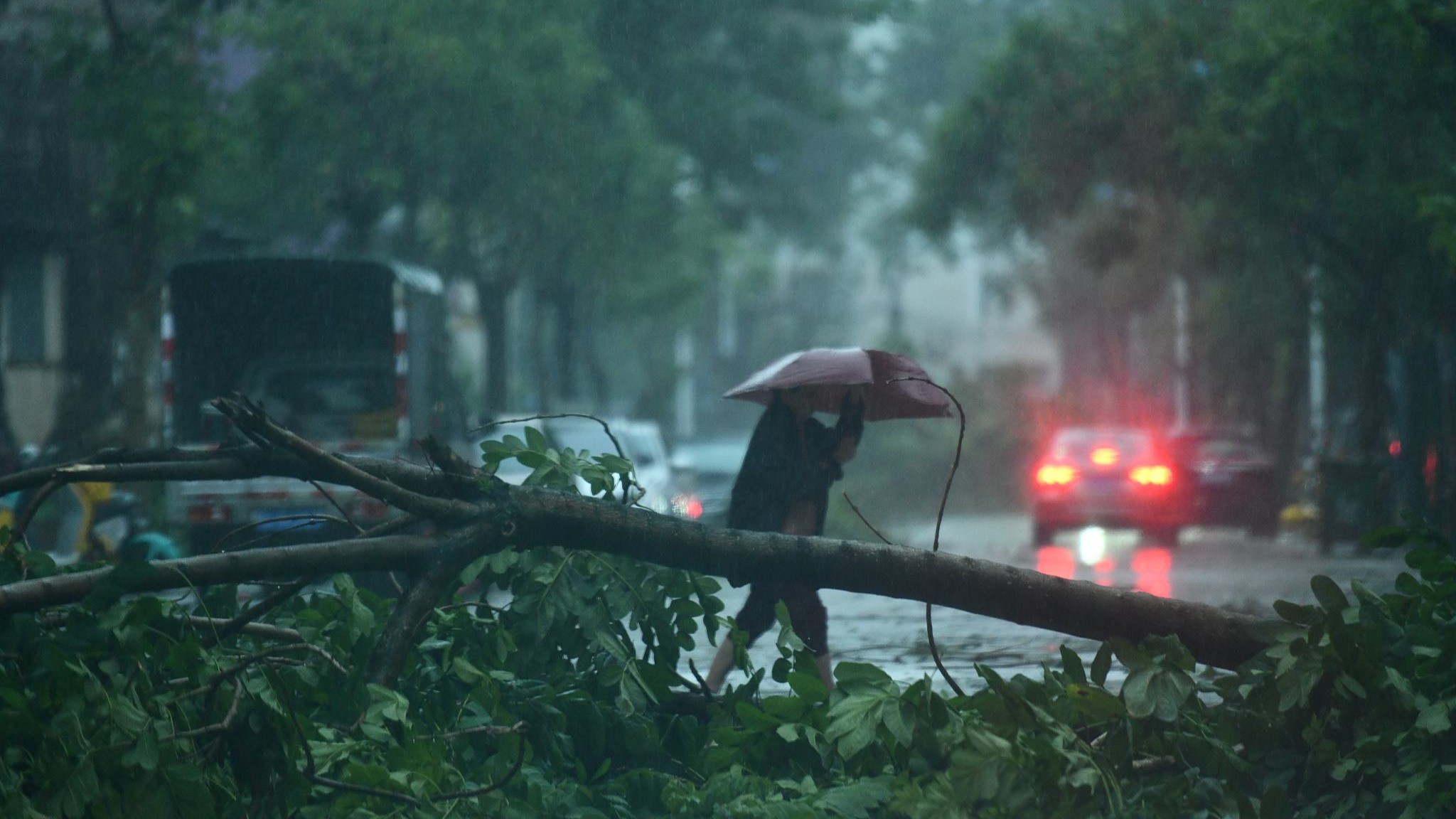 Cây lớn đổ trên đường phố ở thành phố Quỳnh Hải, tỉnh Hải Nam, Trung Quốc ngày 6/9/2024. Ảnh: CFP