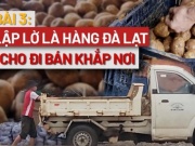 VIDEO ĐIỀU TRA- Bài 3: Khoai nhuộm đất đỏ Đà Lạt chở đi bán khắp nơi