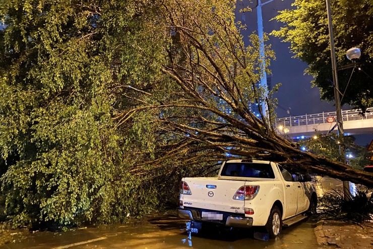 Sau khi bão số 3 Yagi quét qua Hà Nội, hàng trăm cây xanh, biển báo, cột đèn... đã bị gãy đổ.